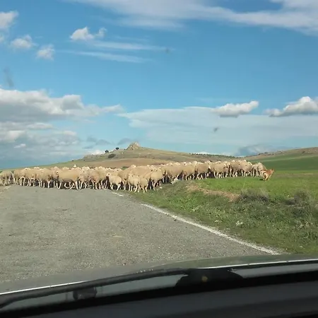 Camino Del Prado