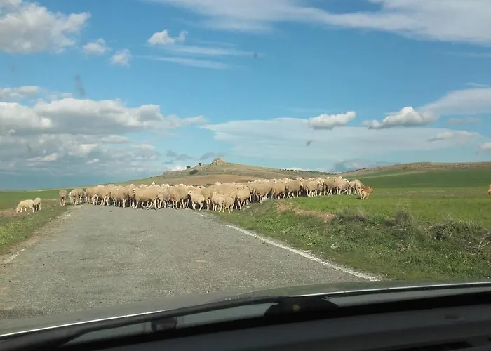 Camino Del Prado